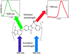 Graphical abstract: Ground and excited state communication within a ruthenium containing benzimidazole metallopolymer