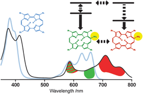 Graphical abstract: Dual fluorescence in 9-amino-2,7,12,17-tetraphenylporphycene