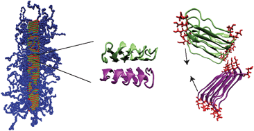 Graphical abstract: The self-assembly mechanism of fibril-forming silk-based block copolymers