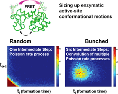Graphical abstract: Revealing time bunching effect in single-molecule enzyme conformational dynamics