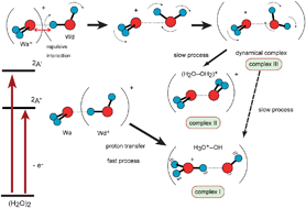 Graphical abstract: Ionization dynamics of a water dimer: specific reaction selectivity