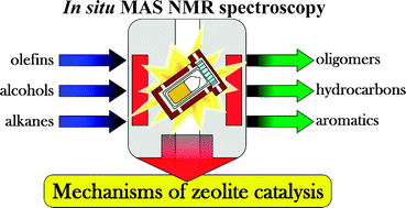 Graphical abstract: Impact of in situ MAS NMR techniques to the understanding of the mechanisms of zeolite catalyzed reactions