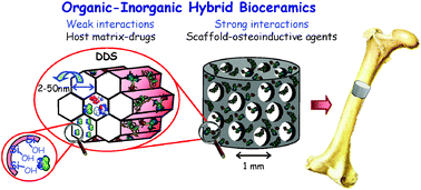 Graphical abstract: Medical applications of organic–inorganic hybrid materials within the field of silica-based bioceramics
