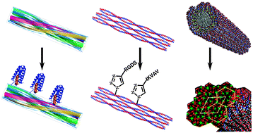 Graphical abstract: More than just bare scaffolds: towards multi-component and decorated fibrous biomaterials