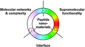Graphical abstract: Next-generation peptide nanomaterials: molecular networks, interfaces and supramolecular functionality