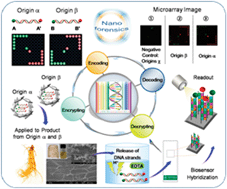 Graphical abstract: Integrated bio-inorganic hybrid systems for nano-forensics