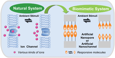 Graphical abstract: Biomimetic smart nanopores and nanochannels
