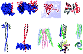 Graphical abstract: Multitude of binding modes attainable by intrinsically disordered proteins: a portrait gallery of disorder-based complexes
