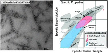 Graphical abstract: Cellulose nanomaterials review: structure, properties and nanocomposites