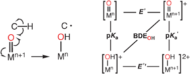 Graphical abstract: Role of metal–oxo complexes in the cleavage of C–H bonds