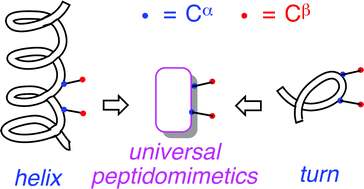 Graphical abstract: Minimalist and universal peptidomimetics