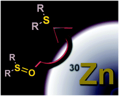 Graphical abstract: A straightforward zinc-catalysed reduction of sulfoxides to sulfides