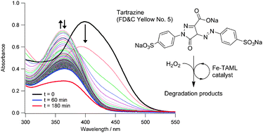 Graphical abstract: Fe-TAML/hydrogen peroxide degradation of concentrated solutions of the commercial azo dye tartrazine