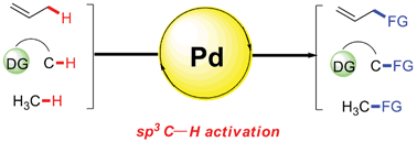 Graphical abstract: Challenge and progress: palladium-catalyzed sp3 C–H activation