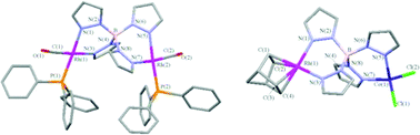 Graphical abstract: Homo- and heterodinuclear complexes of the tetrakis(pyrazolyl)borate ligand