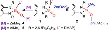 Graphical abstract: Coordination of a Si [[double bond, length as m-dash]] O subunit to metals: complexes of donor-stabilized silanone featuring a terminal Si [[double bond, length as m-dash]] O→M coordination (M = Zn, Al)