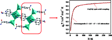 Graphical abstract: First report on N,N′-diisoalkylisonicotinamide 1D coordination network containing linear trinuclear [Co3L4Cl6] units with mixed CoII(Td)–CoII(Oh)–CoII(Td) geometries: structure and magnetic properties