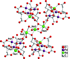 Graphical abstract: Crystallographic identification of an unusual homoleptic palladium citrate [Na(OH2)6]·{[Na3(OH2)8]3[NaPd3(C6H4O7)3]2}·(H2O) stabilised by intermetallic aggregation with sodium and heavy hydration
