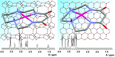 Graphical abstract: Syntheses, solid state and solution structures of the palladium(ii) complexes of malonamide-derived open-chain and macrocyclic ligands