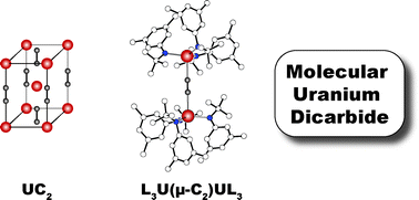 Graphical abstract: A bimetallic uranium μ-dicarbide complex: synthesis, X-ray crystal structure, and bonding
