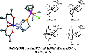 Graphical abstract: Comparative study of [RuClCp(HdmoPTA-κP)(PPh3)][CF3SO3] and the heterobimetallic complexes [RuClCp(PPh3)-μ-dmoPTA-1κP:2κ2N,N′-M(acac-κ2O,O′)2] (M = Co, Ni, Zn; dmoPTA = 3,7-dimethyl-1,3,7-triaza-5-phosphabicyclo[3.3.1]nonane)