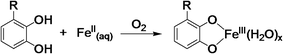 Graphical abstract: Kinetics of iron oxidation upon polyphenol binding