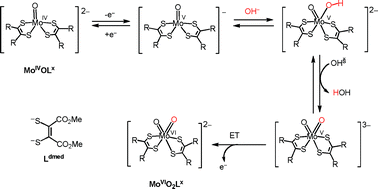 Graphical abstract: Generation of bis(dithiolene)dioxomolybdenum(vi) complexes from bis(dithiolene)monooxomolybdenum(iv) complexes by proton-coupled electron transfer in aqueous media