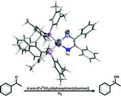 Graphical abstract: trans-FeII(H)2(diphosphine)(diamine) complexes as alternative catalysts for the asymmetric hydrogenation of ketones? A DFT study