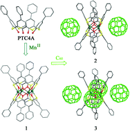 Graphical abstract: Mn4-hinged bithiacalix[4]arenes accommodating fullerenes