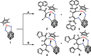 Graphical abstract: Reactivity of the 16eCp*Co half-sandwich complex containing a chelating 1,2-dicarba-closo-dodecaborane-1,2-dithiolate ligand towards alkynes