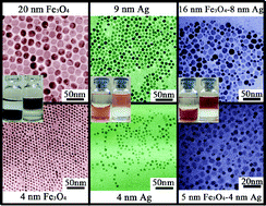 Graphical abstract: Size-controlled syntheses and hydrophilic surface modification of Fe3O4, Ag, and Fe3O4/Ag heterodimer nanocrystals