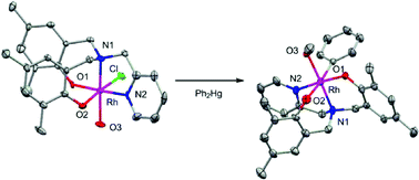 Graphical abstract: Rhodium complexes bearing tetradentate diamine-bis(phenolate) ligands