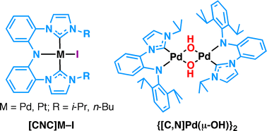 Graphical abstract: N-heterocyclic carbene tethered amido complexes of palladium and platinum