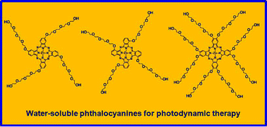 Graphical abstract: A set of highly water-soluble tetraethyleneglycol-substituted Zn(ii) phthalocyanines: synthesis, photochemical and photophysical properties, interaction with plasma proteins and in vitro phototoxicity