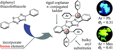 Graphical abstract: Diboron-containing fluorophores with extended ladder-type π-conjugated skeletons