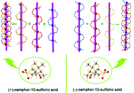 Graphical abstract: Three 2D AgI-framework isomers with helical structures controlled by the chirality of camphor-10-sulfonic acid