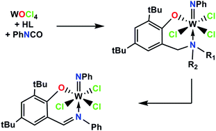 Graphical abstract: Imidotungsten(vi) complexes with chelating amino and imino phenolates