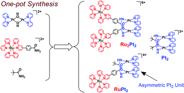 Graphical abstract: Syntheses, characterization, and photochemical properties of amidate-bridged Pt(bpy) dimers tethered to Ru(bpy)32+ derivatives