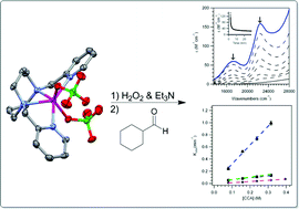 Graphical abstract: Nucleophilic reactivity of a series of peroxomanganese(iii) complexes supported by tetradentate aminopyridyl ligands