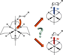 Graphical abstract: O–O Bond activation in H2O2 and (CH3)3C-OOH mediated by [Ni(cyclam)(CH3CN)2](ClO4)2: Different mechanisms to form the same Ni(iii) product?