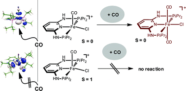 Graphical abstract: Reactivity of coordinatively unsaturated iron complexes towards carbon monoxide: to bind or not to bind?