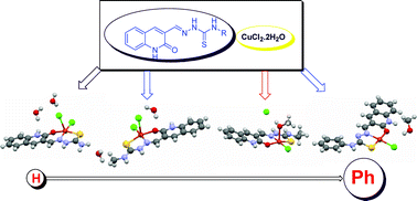 Graphical abstract: Effect of terminal N-substitution in 2-oxo-1,2-dihydroquinoline-3-carbaldehyde thiosemicarbazones on the mode of coordination, structure, interaction with protein, radical scavenging and cytotoxic activity of copper(ii) complexes