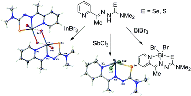 Graphical abstract: Indium(iii), antimony(iii) and bismuth(iii) dihalide complexes with tridentate, anionic thio- and selenosemicarbazonato ligands
