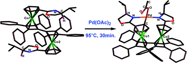 Graphical abstract: Palladacycles of novel bisoxazoline chelating ligands based on the dimeric cyclobutadiene linked cobalt sandwich compound [(η5-Cp)Co(η4-C4Ph3)]2