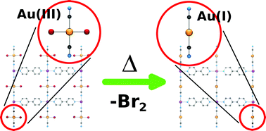 Graphical abstract: Thermally triggered reductive elimination of bromine from Au(iii) as a path to Au(i)-based coordination polymers