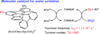 Graphical abstract: Highly active and tunable catalysts for O2 evolution from water based on mononuclear ruthenium(ii) monoaquo complexes
