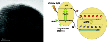 Graphical abstract: Preparation of polyaniline modified TaON with enhanced visible light photocatalytic activities