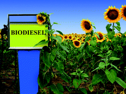 Graphical abstract: Biodiesel as feasible petrol fuel replacement: a multidisciplinary overview