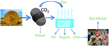 Graphical abstract: Use of green chemical technologies in an integrated biorefinery