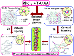 Graphical abstract: Enhanced electrocatalytic performance of interconnected Rh nano-chains towards formic acid oxidation